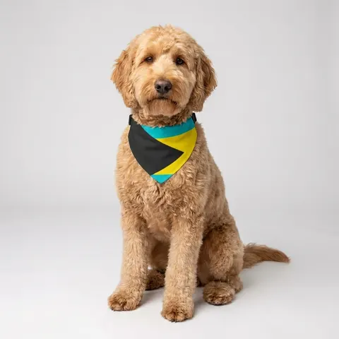 Bahamas Aqua Triangle Clip-on Pet Bandana