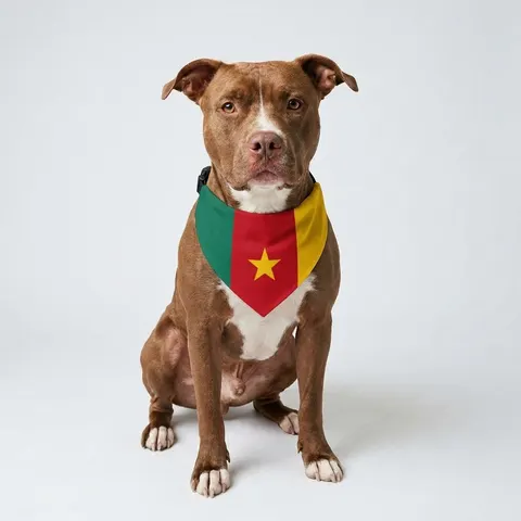Cameroon Green Red Yellow Star Clip-on Pet Bandana