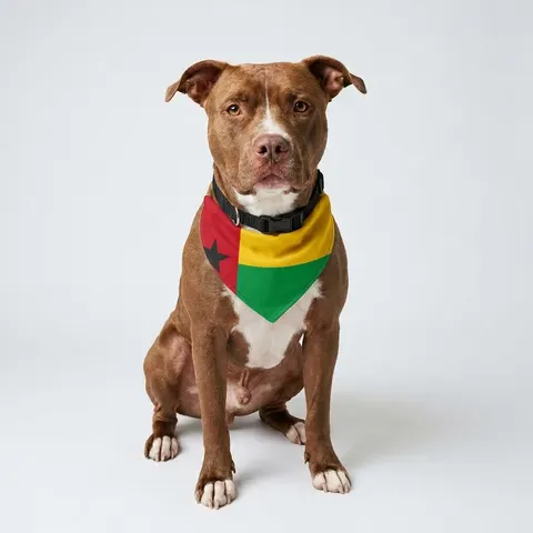 Guinea-Bissau Red Yellow Green Star