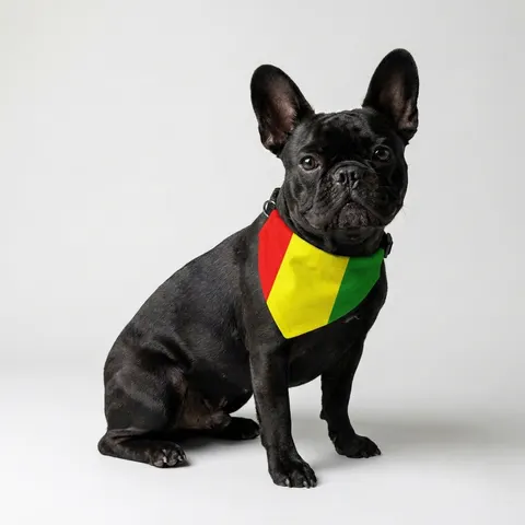Guinea Red Yellow Green