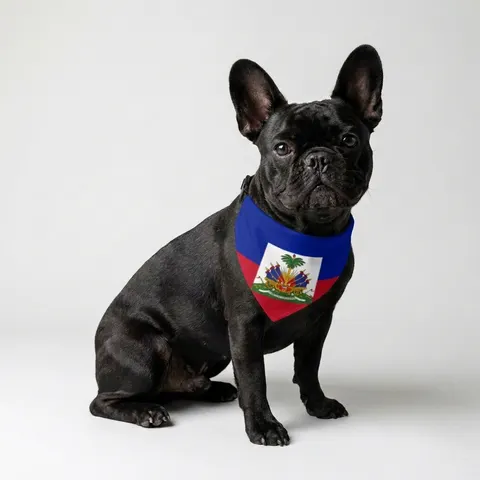 Haiti Blue Red Banner Clip-on Pet Bandana
