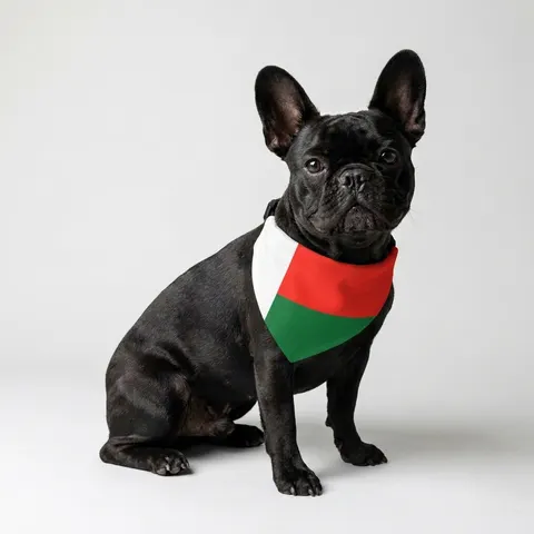 Madagascar White Red Green