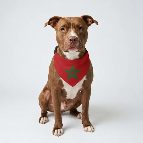 Morocco Red Green Star