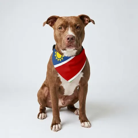 Namibia Diagonal Blue Red Green Clip-on Pet Bandana