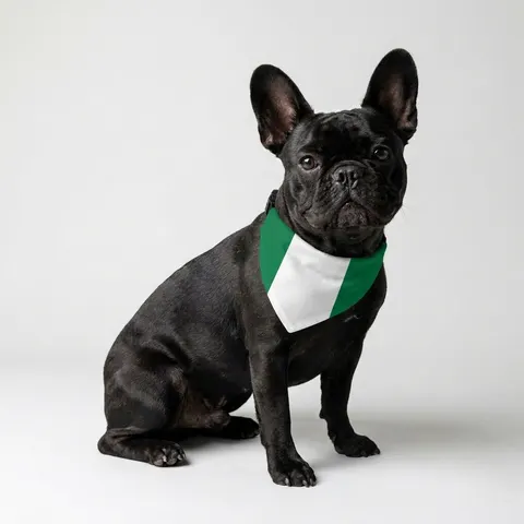 Nigeria Green & White Stripes Clip-on Pet Bandana