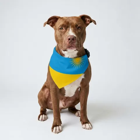 Rwanda Sky Blue & Sun Clip-on Pet Bandana