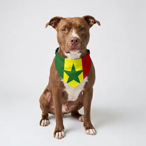 Senegal Green Yellow Red Clip-on Pet Bandana