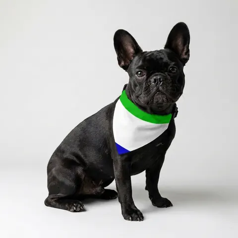 Sierra Leone Green White Blue Clip-on Pet Bandana