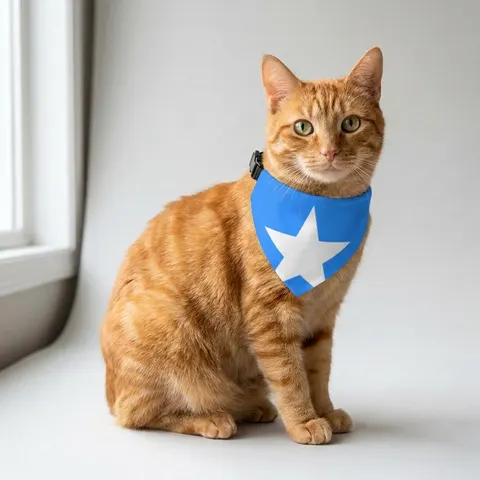 Somalia Blue White Star
