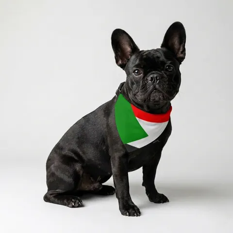 Sudan Red White Black Triangle