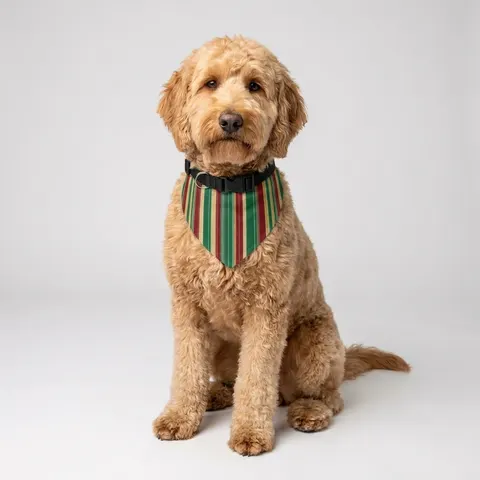 Holiday Gift Wrap Stripes Clip-on Pet Bandana