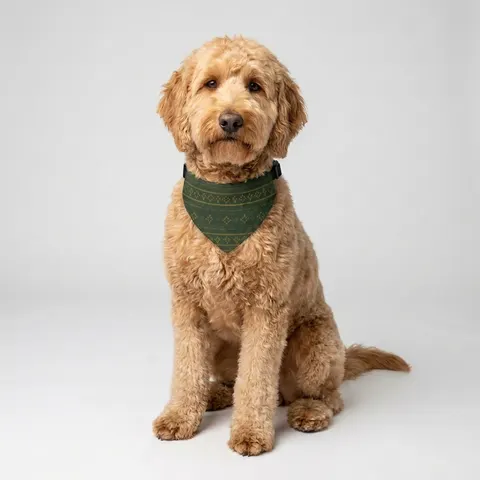 Holiday Green & Gold Knit Clip-on Pet Bandana