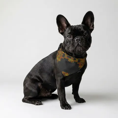 Holiday Kwanzaa Kente Border Clip-on Pet Bandana
