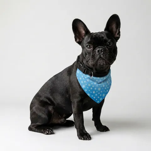 Holiday Snowflake All-Over Clip-on Pet Bandana