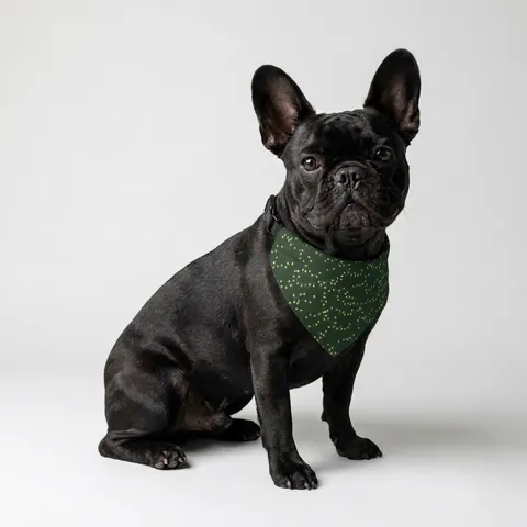 Holiday String Lights on Green Clip-on Pet Bandana