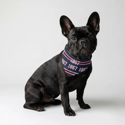 Howard 1867 Navy & Crimson Clip-on Pet Bandana