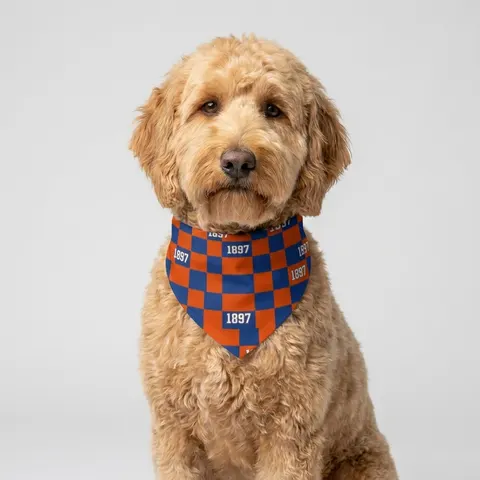 Langston 1897 Orange & Blue Clip-on Pet Bandana