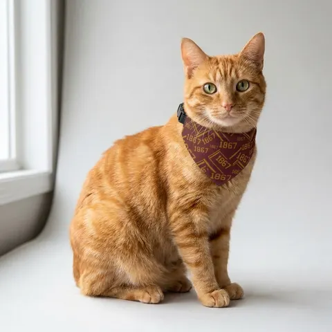 Morehouse 1867 Maroon & Gold Classic Clip-on Pet Bandana