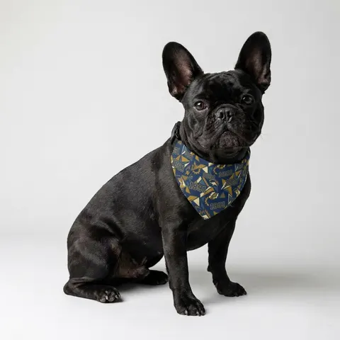NC A&T 1891 Blue & Gold Tech Pattern Clip-on Pet Bandana