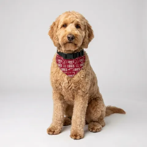 Shaw 1865 Crimson & White