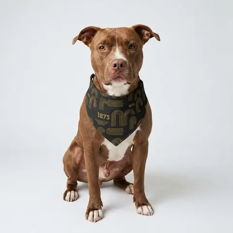 UAPB 1873 Black & Gold Arc Pattern Clip-on Pet Bandana