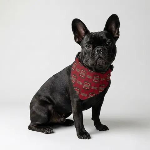 Virginia Union 1865 Crimson & Black Clip-on Pet Bandana