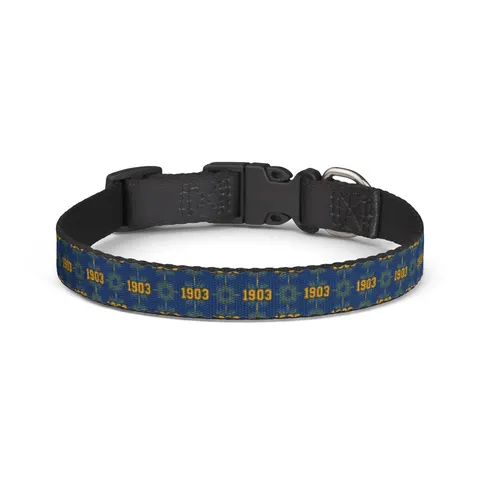 Albany State 1903 Blue & Gold Sunburst Clip-on Pet Collar — front view