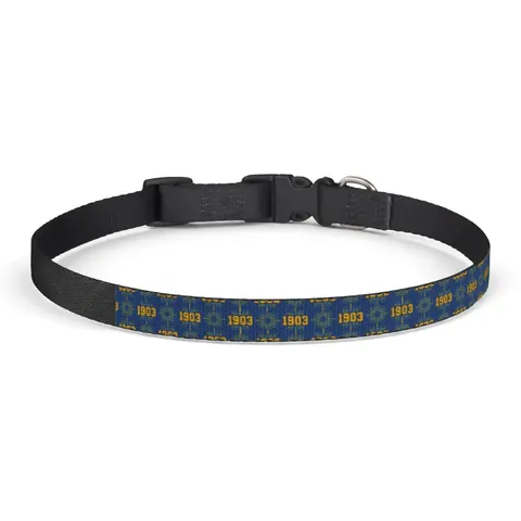 Albany State 1903 Blue & Gold Sunburst Clip-on Pet Collar — front view