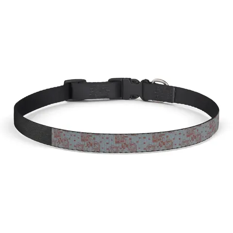 Chicago South Side Blocks Clip-on Pet Collar — front view