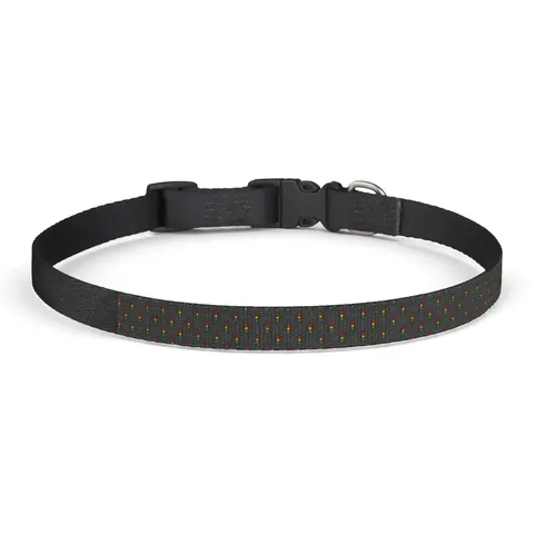 Houston Fifth Ward Signals Clip-on Pet Collar — front view