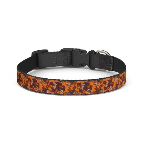 Claflin 1869 Orange & Maroon Clip-on Pet Collar — front view