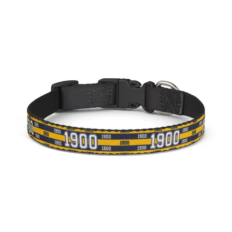 Coppin State 1900 Blue & Yellow Clip-on Pet Collar — front view