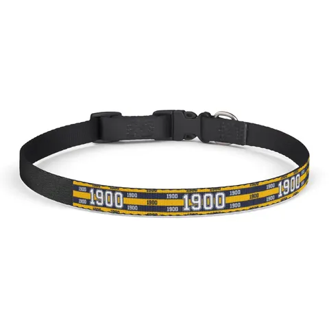 Coppin State 1900 Blue & Yellow Clip-on Pet Collar — front view