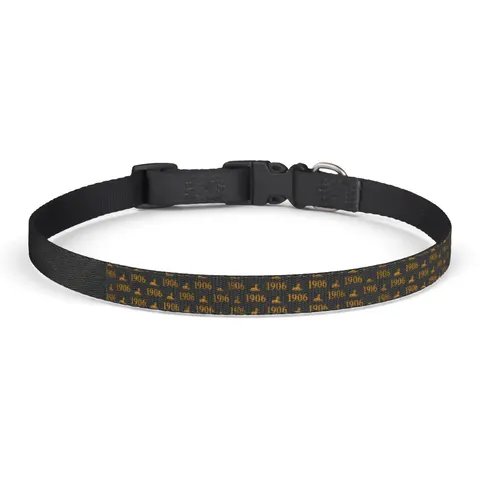 Alpha 1906 Black & Old Gold Clip-on Pet Collar — front view