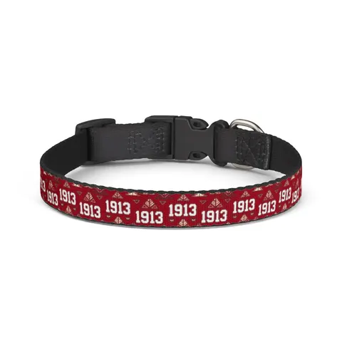 Delta 1913 Crimson Stamp Clip-on Pet Collar — front view