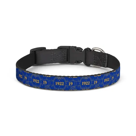 SGRho 1922 Royal Blue & Gold Clip-on Pet Collar — front view