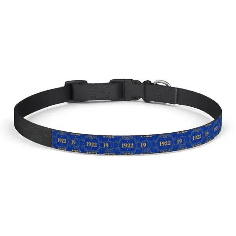 SGRho 1922 Royal Blue & Gold Clip-on Pet Collar — front view
