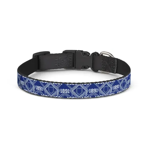 Elizabeth City State 1891 Blue & White Clip-on Pet Collar — front view