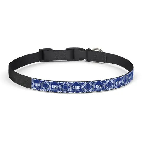 Elizabeth City State 1891 Blue & White Clip-on Pet Collar — front view