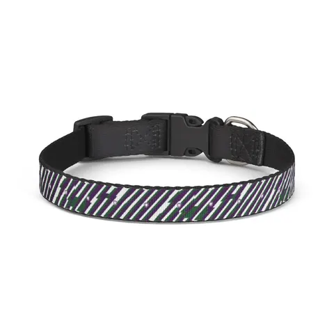 Faith Flag AME-Inspired Purple & Green Clip-on Pet Collar — front view