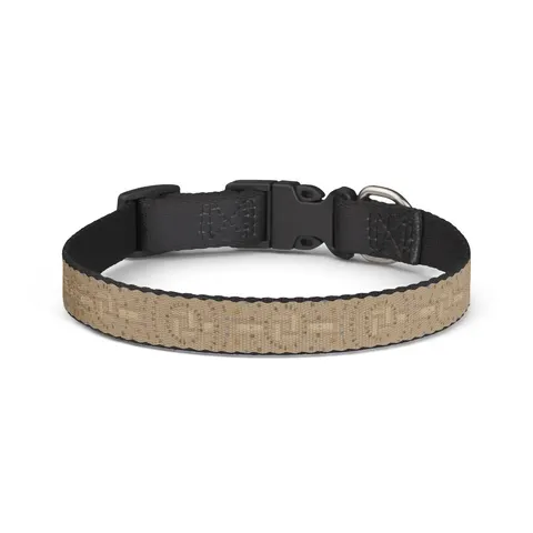 Faith Flag Multi-Faith Harmony Circle Clip-on Pet Collar — front view