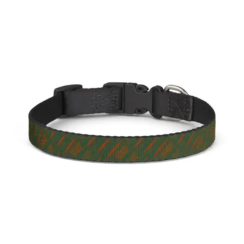 FAMU 1887 Orange & Green Energy Clip-on Pet Collar — front view