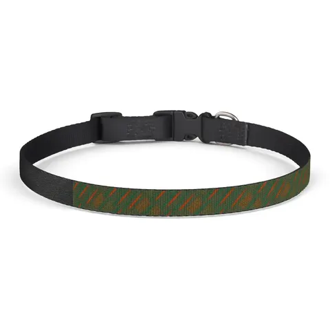 FAMU 1887 Orange & Green Energy Clip-on Pet Collar — front view