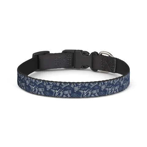 Fayetteville State 1867 Blue & Silver Clip-on Pet Collar — front view