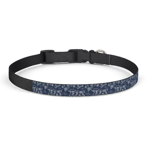 Fayetteville State 1867 Blue & Silver Clip-on Pet Collar — front view