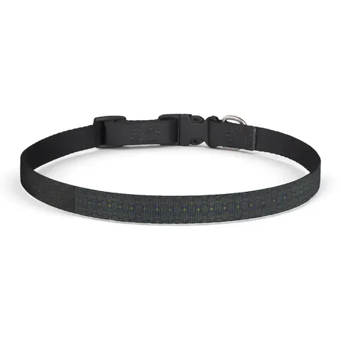 Fisk 1866 Blue & Gold Clip-on Pet Collar — front view