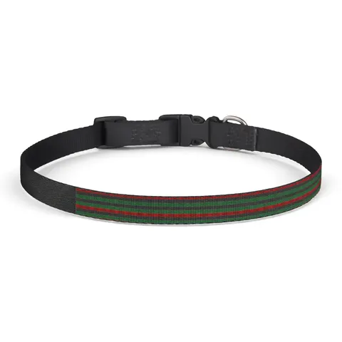 African Diaspora Continent Outline Clip-on Pet Collar — front view