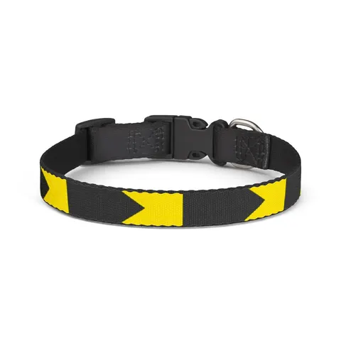 Bahamas Aqua Triangle Clip-on Pet Collar — front view