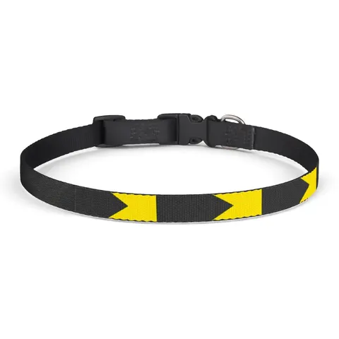 Bahamas Aqua Triangle Clip-on Pet Collar — front view