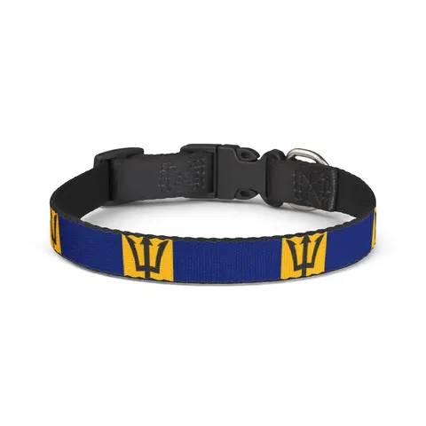 Barbados Blue Gold Trident Clip-on Pet Collar — front view